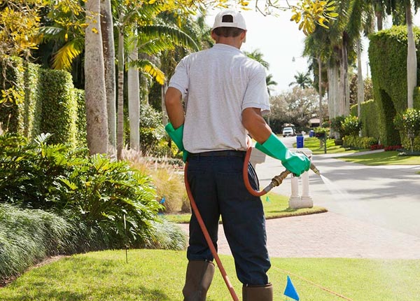 About Waggoner IL Pest Control